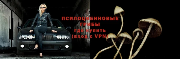 прущий лед Алексин