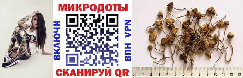 Галлюциногенные грибы Magic Shrooms  Цивильск 